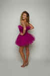 Mini Tulle Dress
