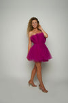 Mini Tulle Dress